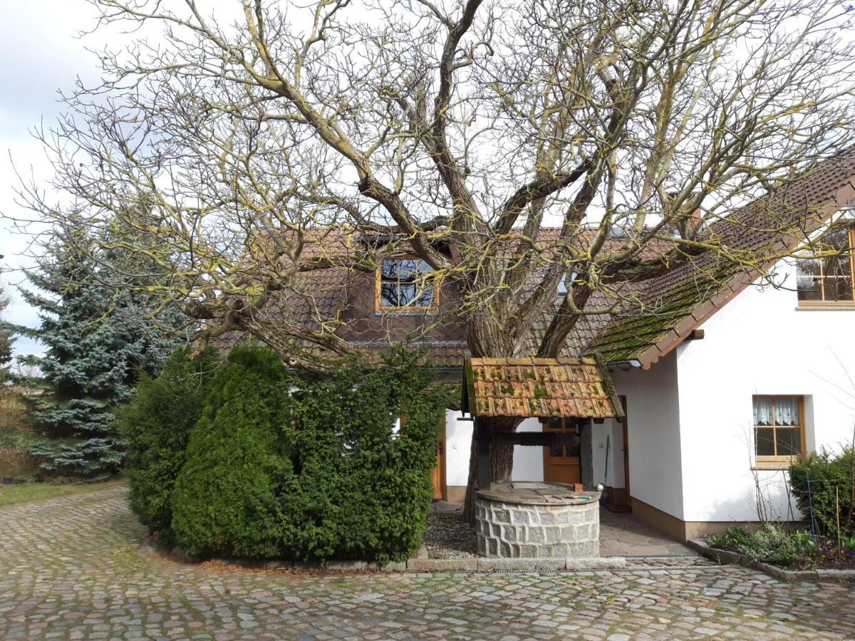 Schonfeld  Ein Bett Im Kornfeld - Haus Morgensonne - Mit Innenpool מראה חיצוני תמונה