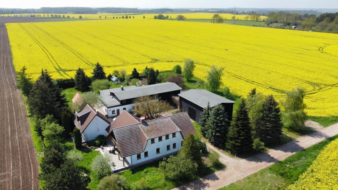 Schonfeld  Ein Bett Im Kornfeld - Haus Morgensonne - Mit Innenpool מראה חיצוני תמונה